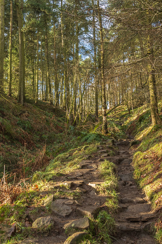 Parkin Clough